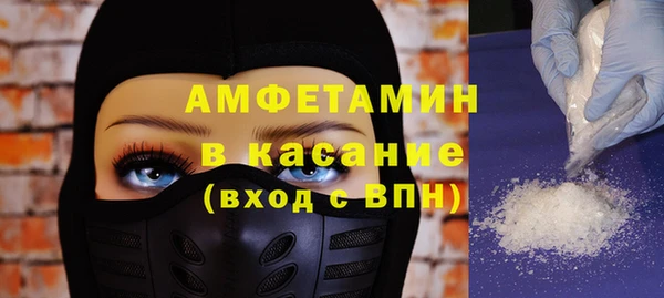 индика Беломорск