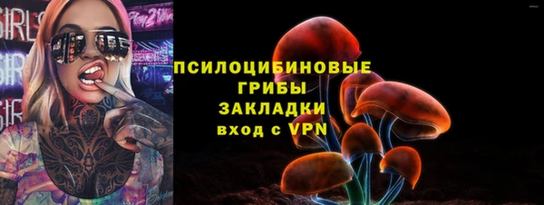 индика Беломорск
