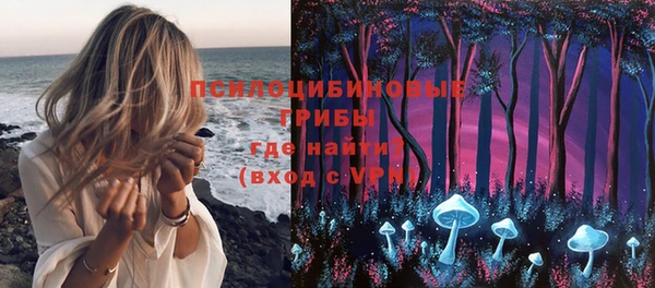 эйфоретик Богородицк